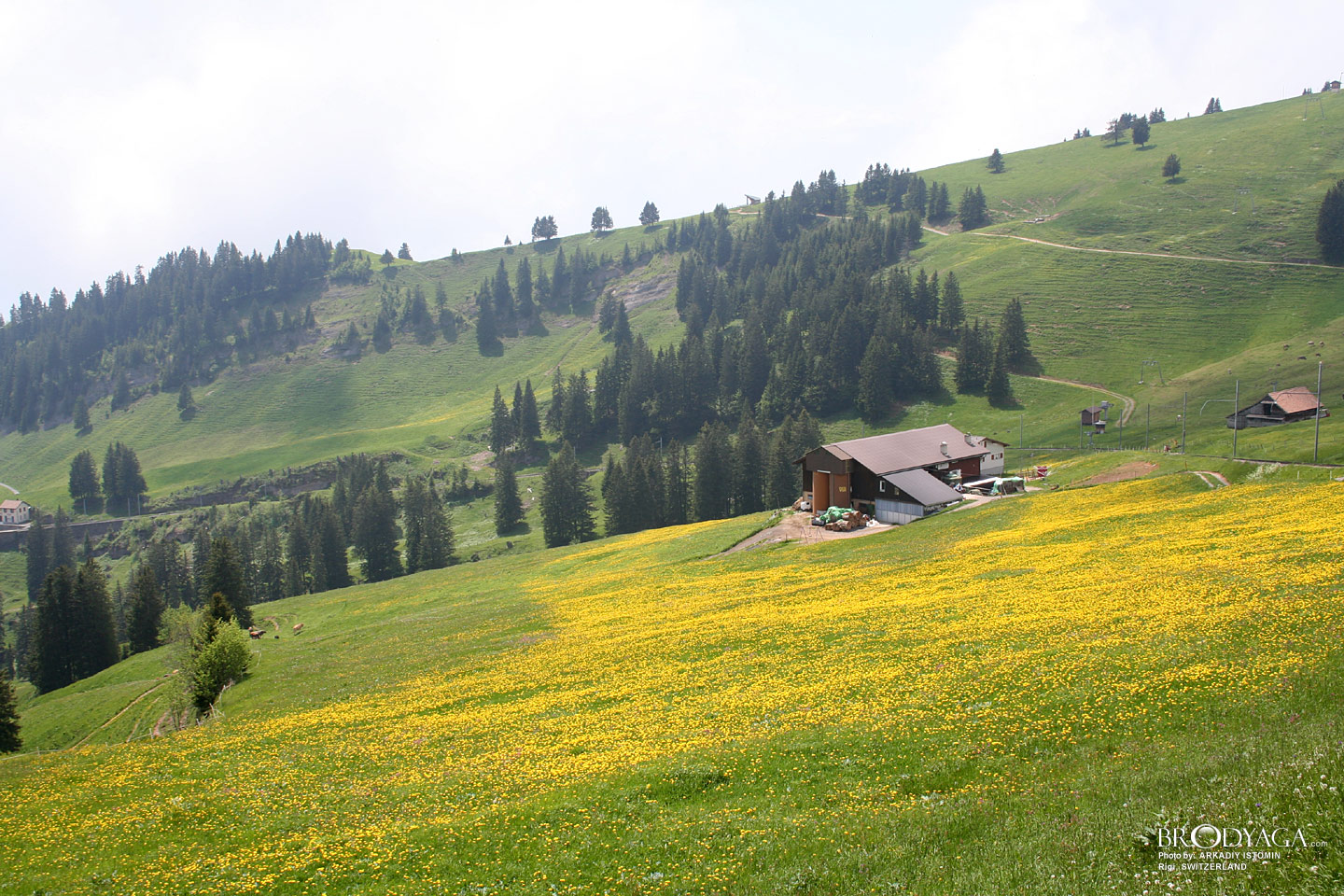 Rigi
